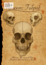 Проект: Гибрид