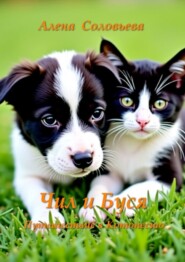 Чил и Буся Путешествие в Котопесию