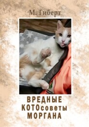 Вредные КОТОсоветы Моргана