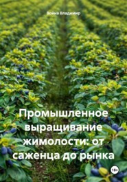 Промышленное выращивание жимолости: от саженца до рынка