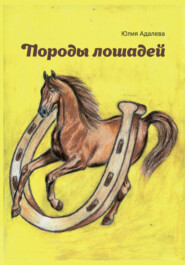 Породы лошадей