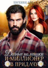 Дачные ромашки и миллионер в придачу