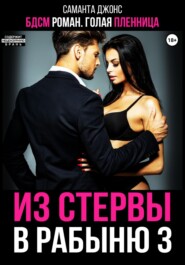 БДСМ роман. Голая пленница. Из стервы в рабыню 3
