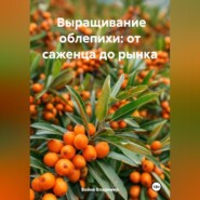 Промышленное выращивание облепихи: от саженца до рынка