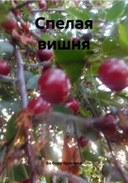 Спелая вишня