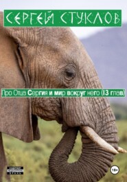 Про Отца Сергия и мир вокруг него (13 глав)