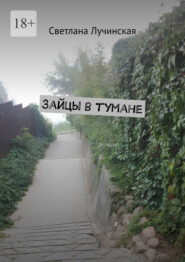 Зайцы в тумане