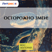 Осторожно змеи!