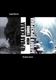 Чёрная Скала или тайна Белого Странника: история третья