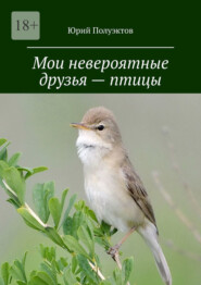 Мои невероятные друзья – птицы