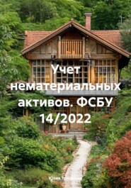 Учет нематериальных активов. ФСБУ 14/2022