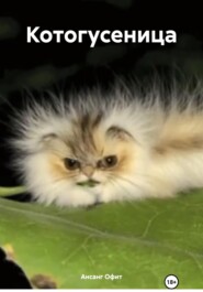 Котогусеница