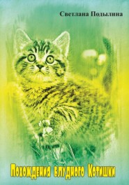 Похождение блудного котишки