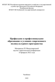 Профильное и профессиональное образование в условиях современного поликультурного пространства