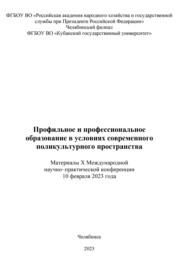 Профильное и профессиональное образование в условиях современного поликультурного пространства