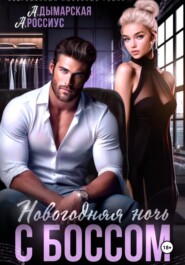 Новогодняя ночь с боссом