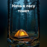 Ночь в лесу тонет