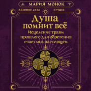 Душа помнит всё. Исцеление травм прошлого для обретения счастья в настоящем