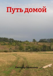 Путь домой