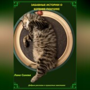 ЗАБАВНЫЕ ИСТОРИИ О КОТЕНКЕ ПОНЧИКЕ
