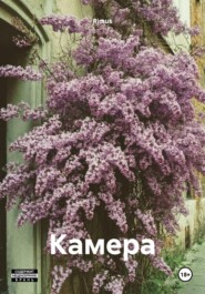 Камера