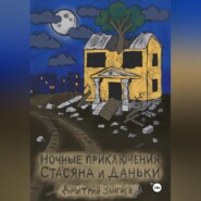 Ночные приключения Стасяна и Даньки