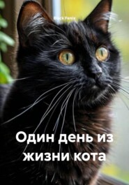 Один день из жизни кота