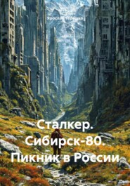 Сталкер. Сибирск-80. Пикник в России