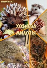 Хозяева Милоты