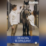 Любовь в придачу