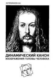 Динамический канон изображения головы человека