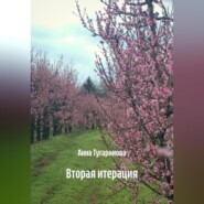Вторая итерация