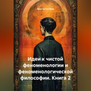 Идеи к чистой феноменологии и феноменологической философии. Книга 2