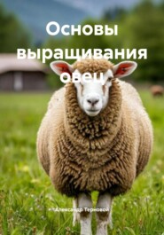 Основы выращивания овец
