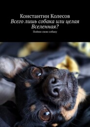 Всего лишь собака или целая Вселенная? Пойми свою собаку