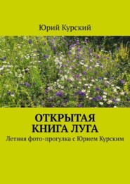 Открытая книга луга. Летняя фото-прогулка с Юрием Курским