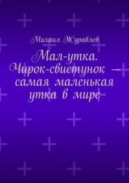 Мал-утка. Чирок-свистунок – самая маленькая утка в мире