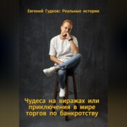 Чудеса на виражах или приключения в мире торгов по банкротству. Реальные истории.