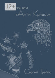 Операция «Анти-Кондор»