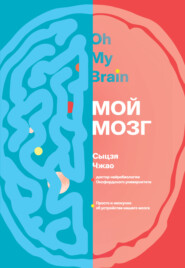 Мой мозг