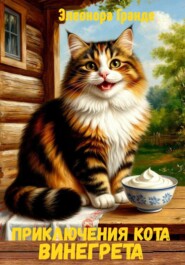 Приключения кота Винегрета