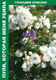 Пуля, которая меня убила.