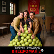 Внедроман 2