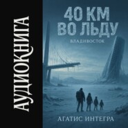 40 км во льду