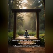 Медитация для начинающих: От тишины ума до управляемых путешествий