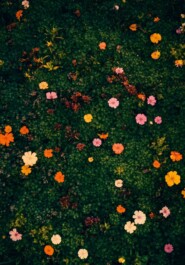 Один из нас умрет