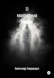13 квадратных метров