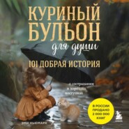 Куриный бульон для души. 101 добрая история о сострадании и хороших поступках