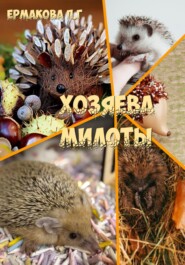 Хозяева Милоты