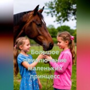 Большое приключение маленьких принцесс